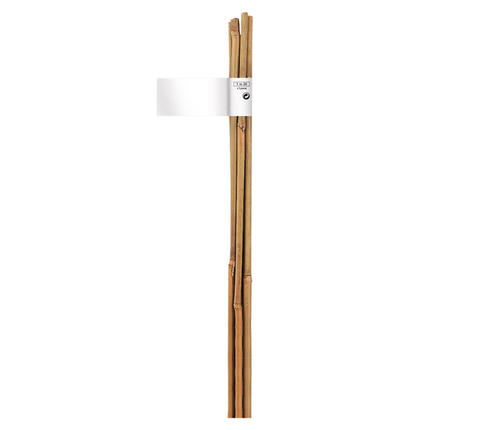 Nortene bamboo  Bambusz termesztő karó, kötegekben 60cm 8-10mm 140831